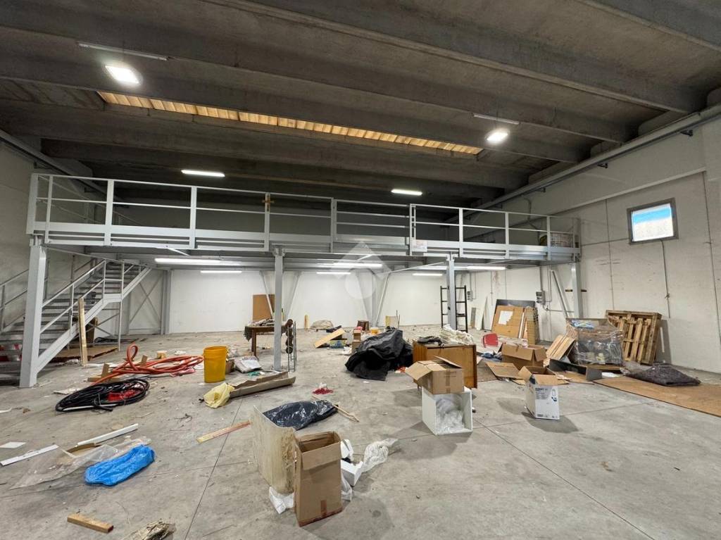 immagine annuncio 8 di 12