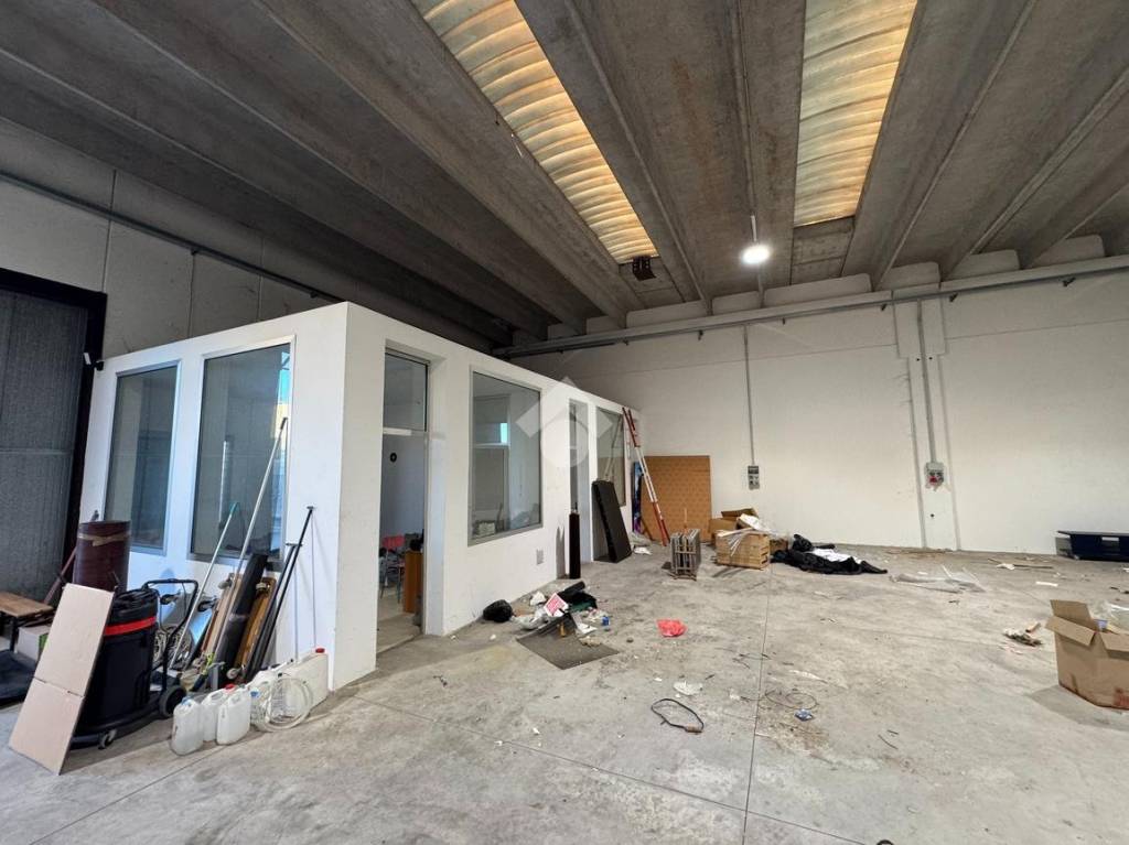 immagine annuncio 9 di 12