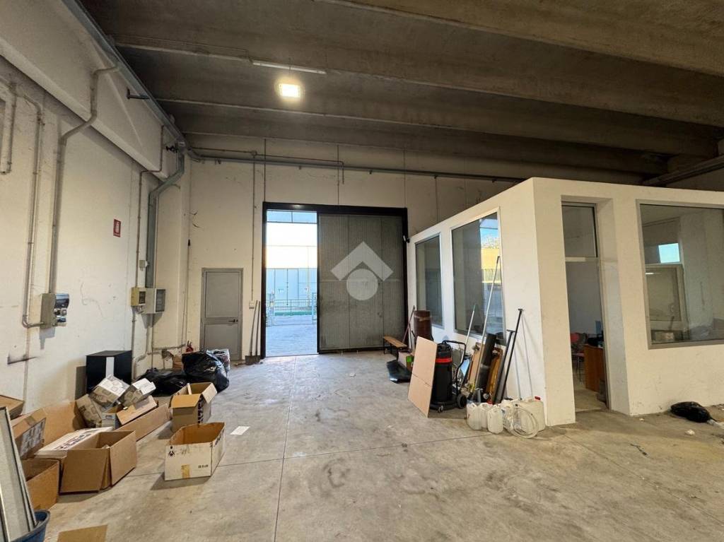 immagine annuncio 10 di 12