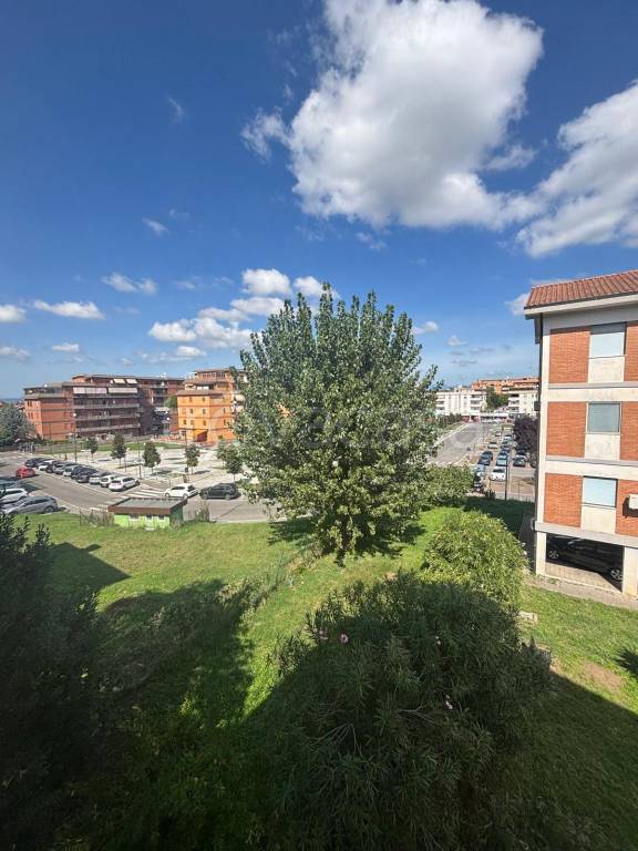 immagine annuncio 12 di 14