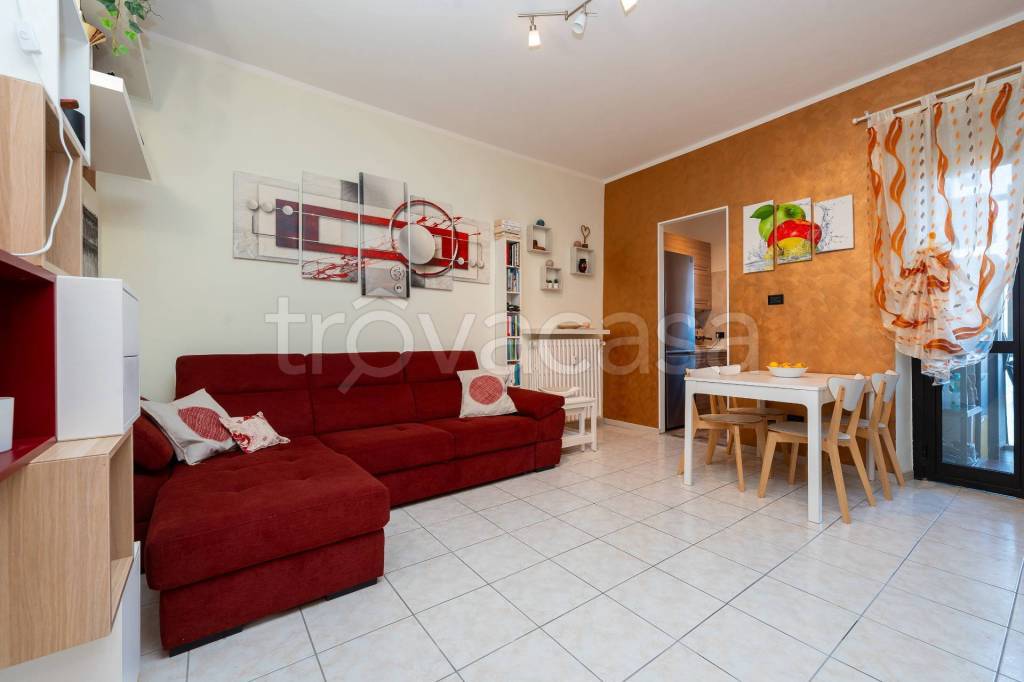 immagine annuncio 5 di 15