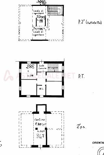 immagine annuncio 10 di 11