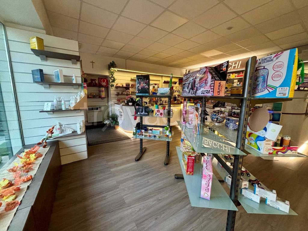 immagine annuncio 9 di 12