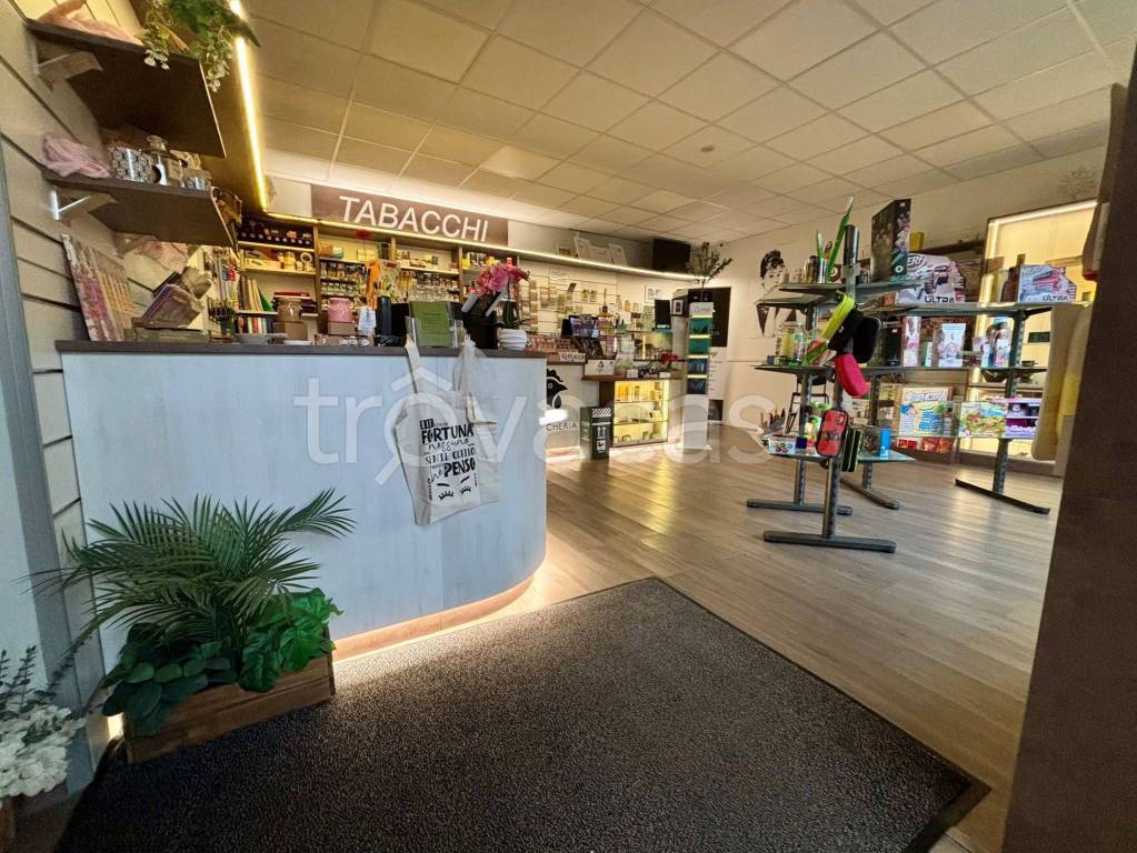 immagine annuncio 8 di 12