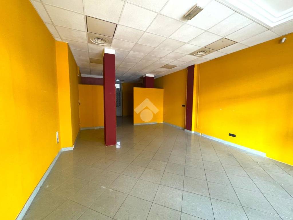 immagine annuncio 1 di 14