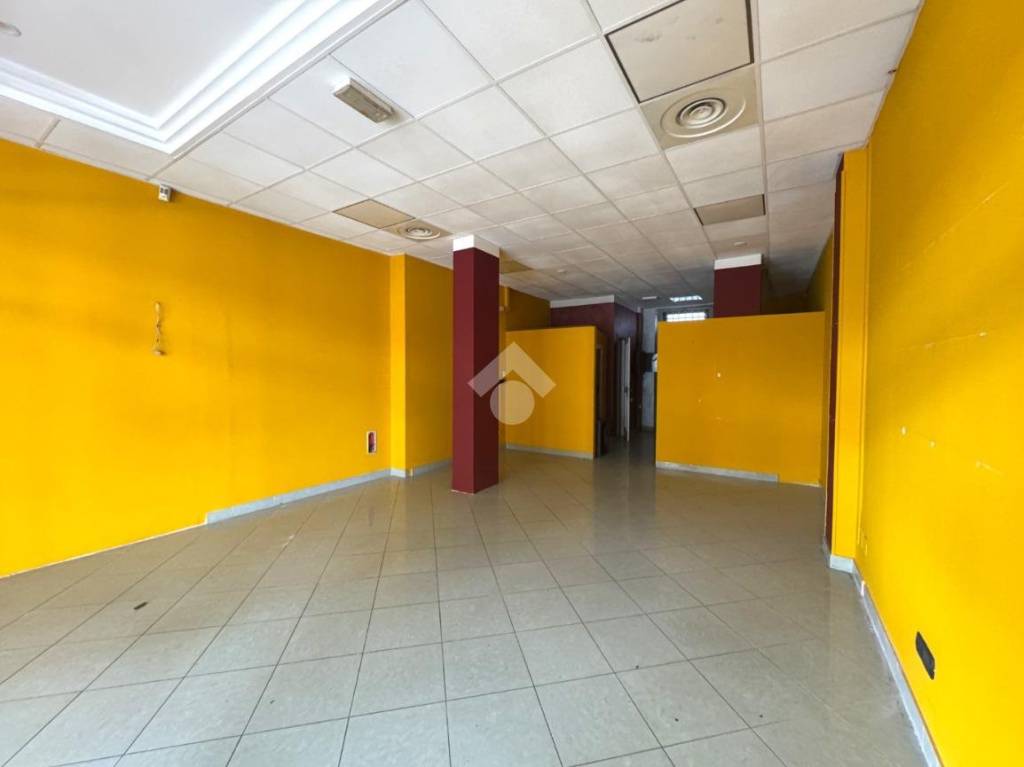 immagine annuncio 3 di 14