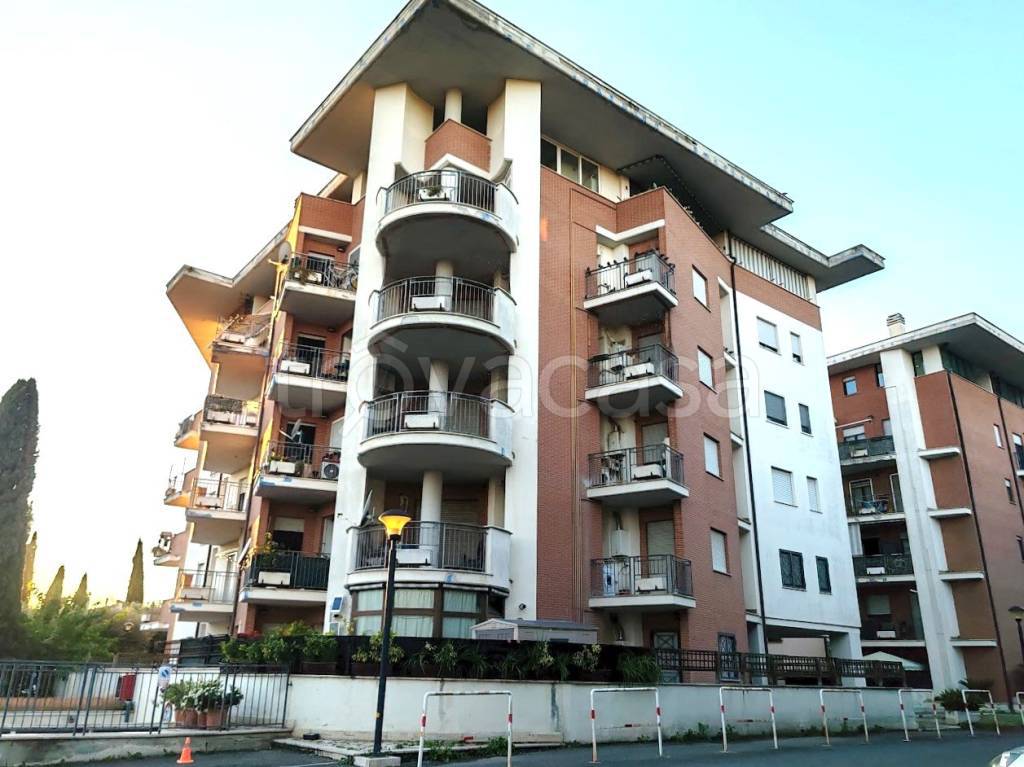 immagine annuncio 12 di 15