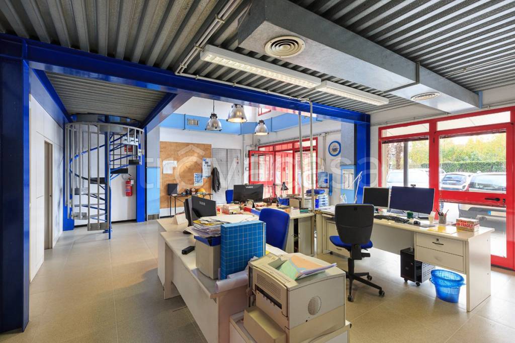 immagine annuncio 3 di 15