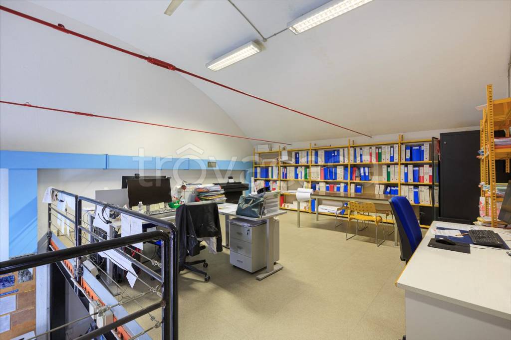 immagine annuncio 9 di 15