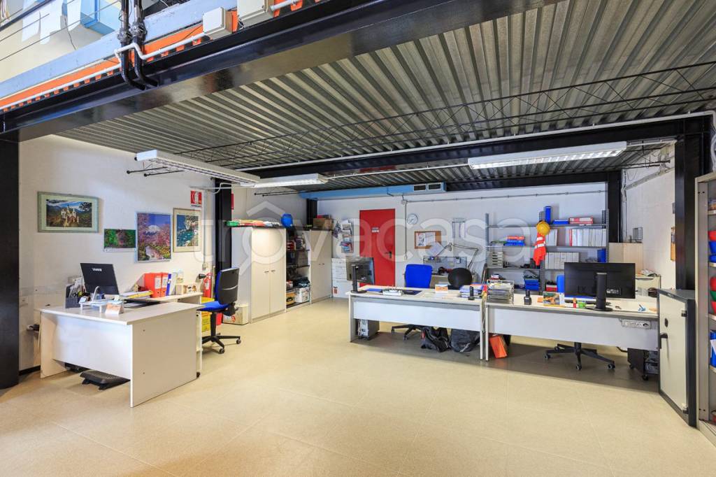 immagine annuncio 12 di 15