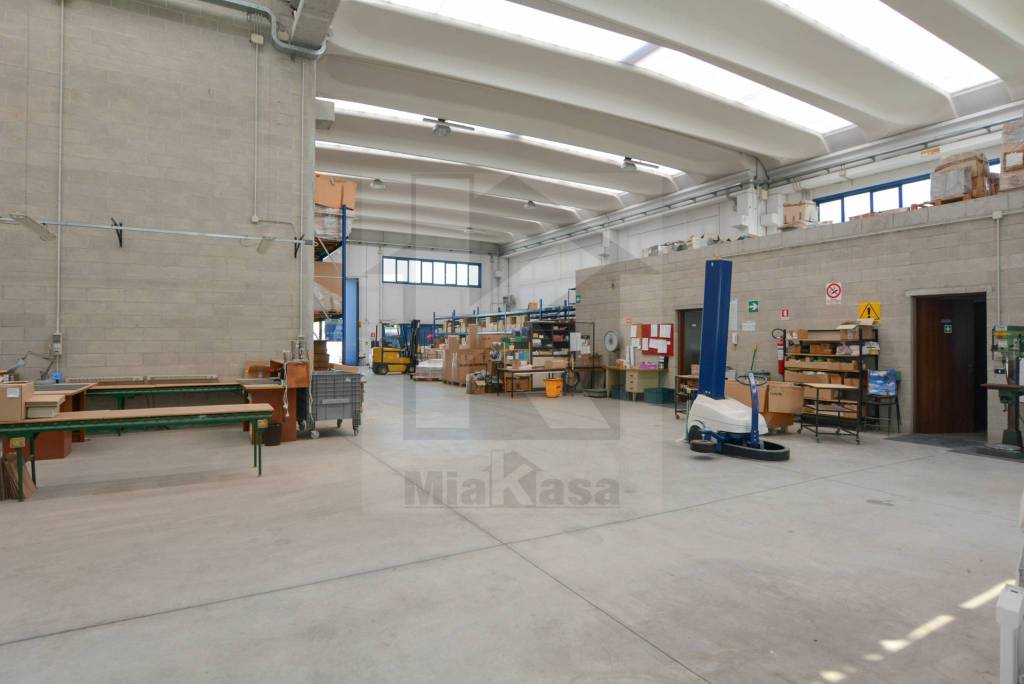 immagine annuncio 7 di 15