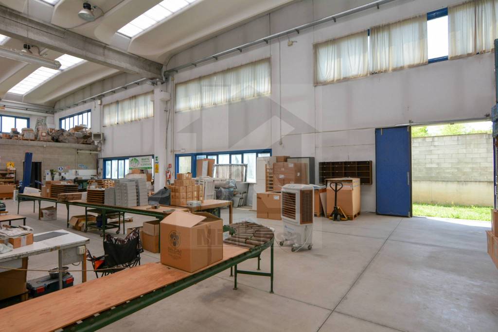 immagine annuncio 10 di 15