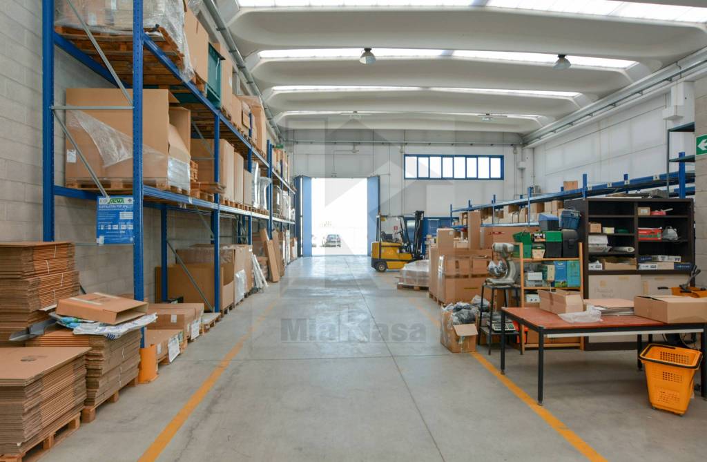 immagine annuncio 12 di 15