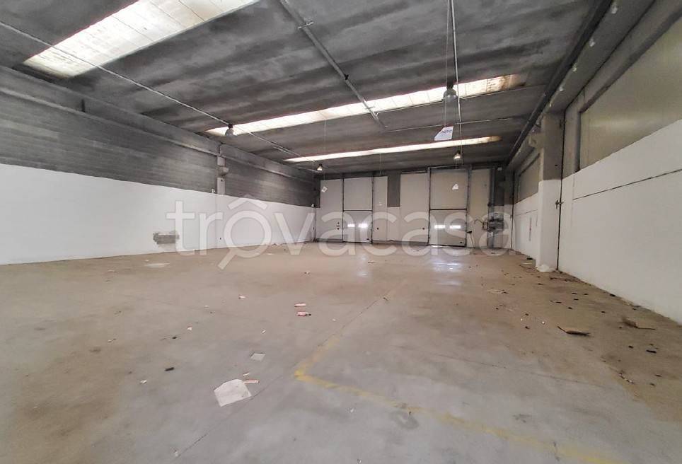 immagine annuncio 2 di 7