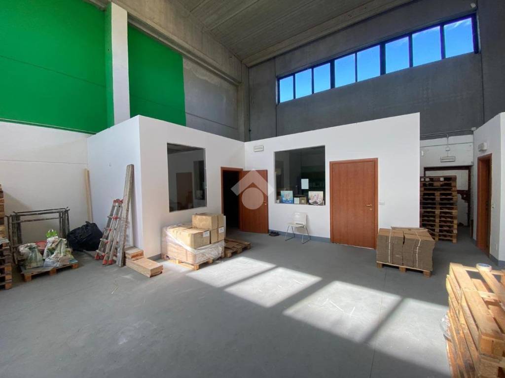 immagine annuncio 9 di 10