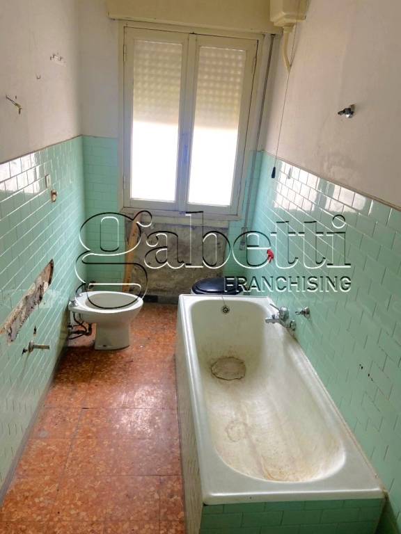 immagine annuncio 5 di 14