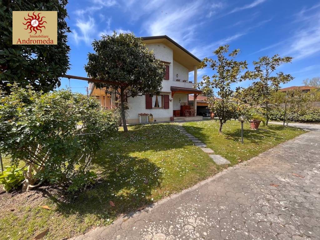 immagine annuncio 2 di 12