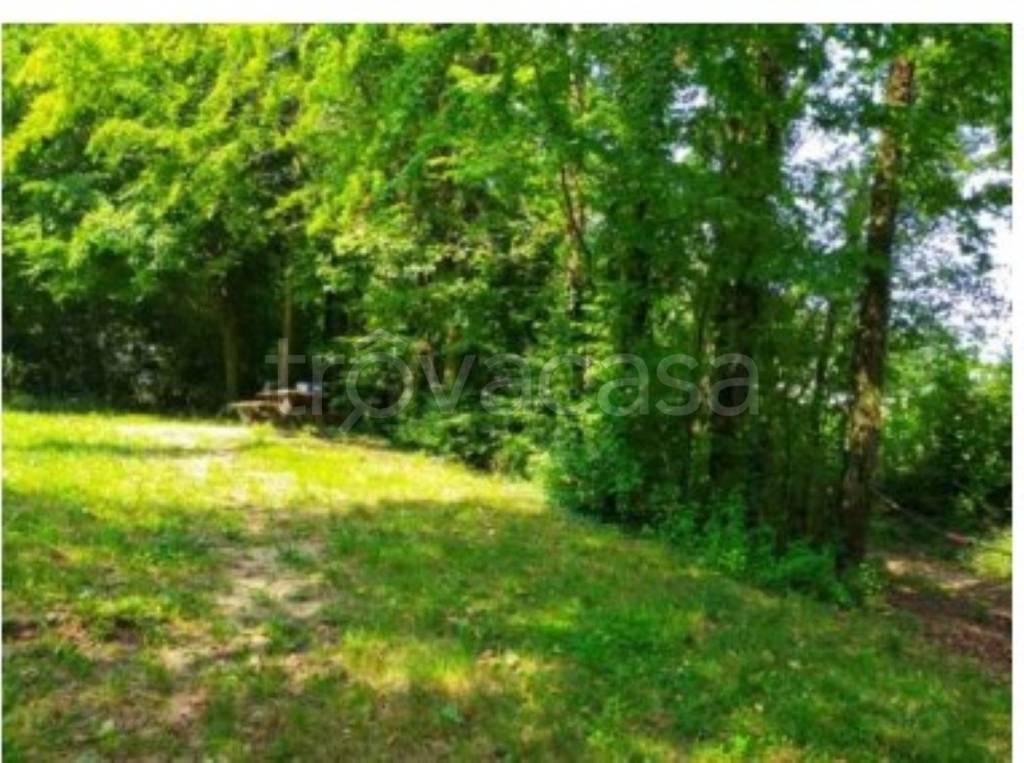 immagine annuncio 3 di 11