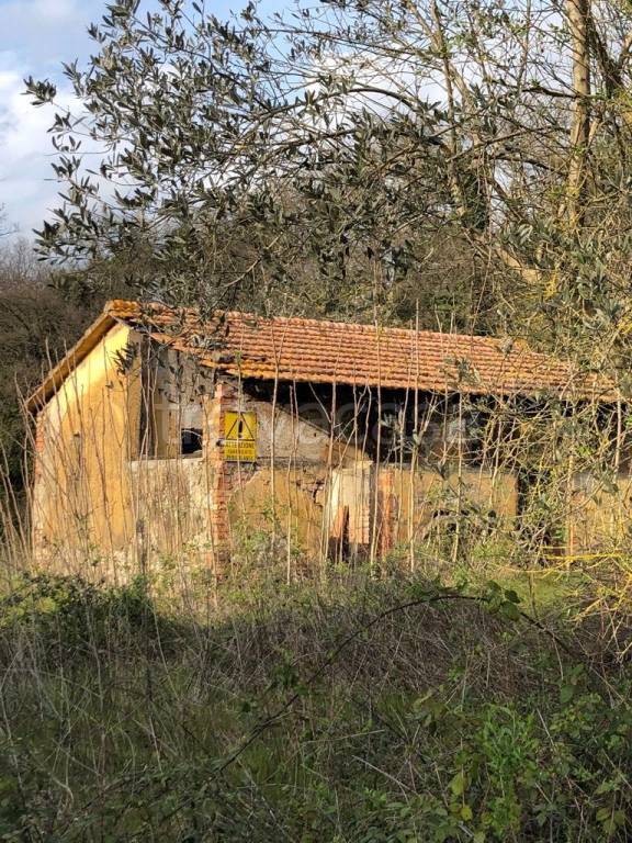 immagine annuncio 3 di 6