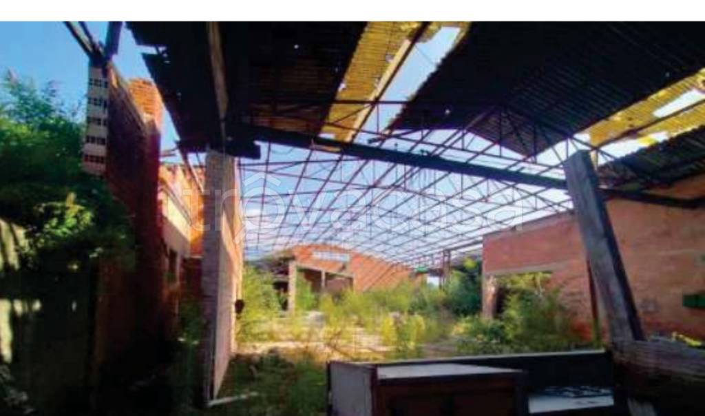 immagine annuncio 5 di 11