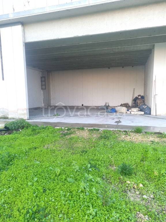 immagine annuncio 4 di 7