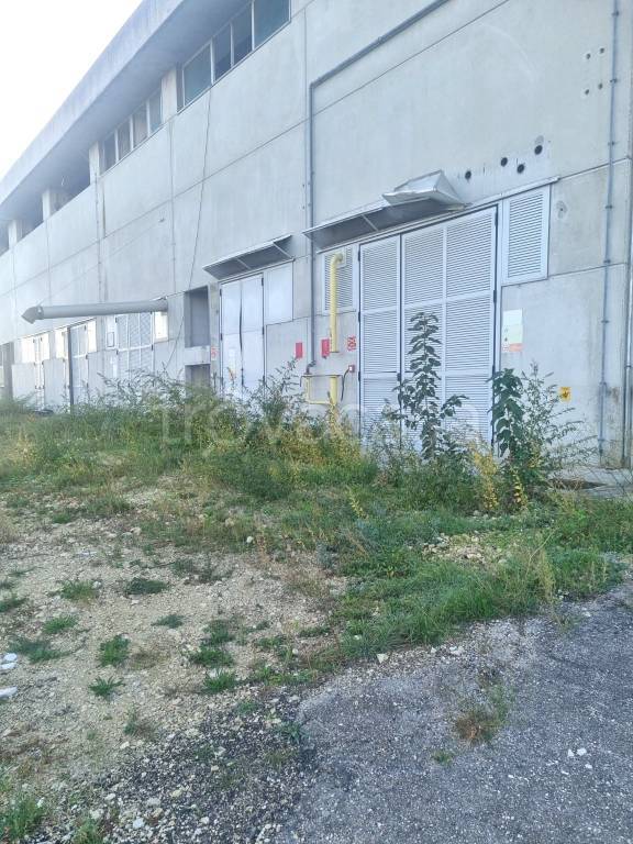 immagine annuncio 5 di 7