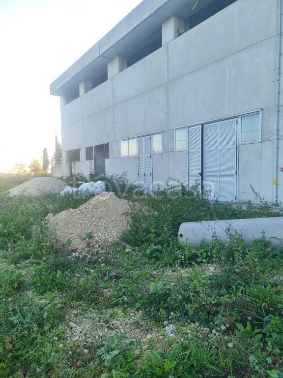 immagine annuncio 6 di 7