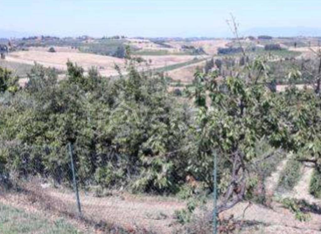 immagine annuncio 8 di 11