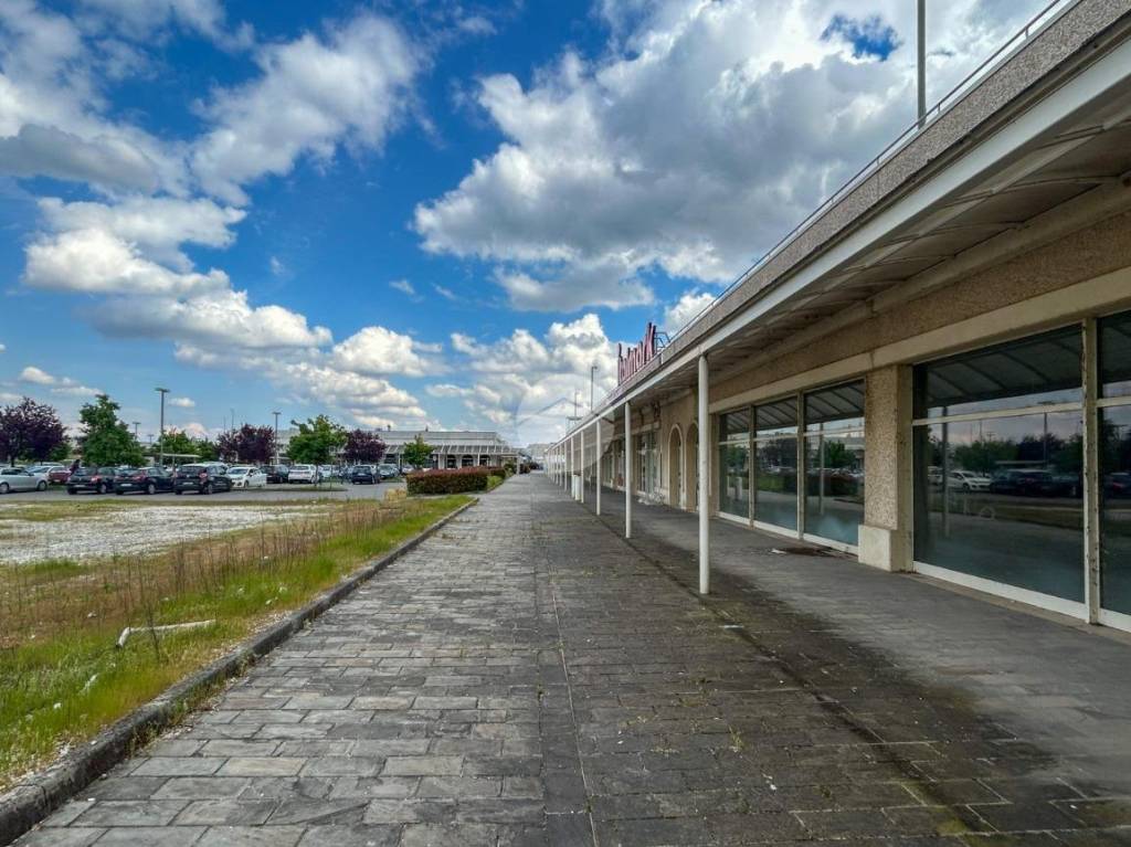 immagine annuncio 2 di 14