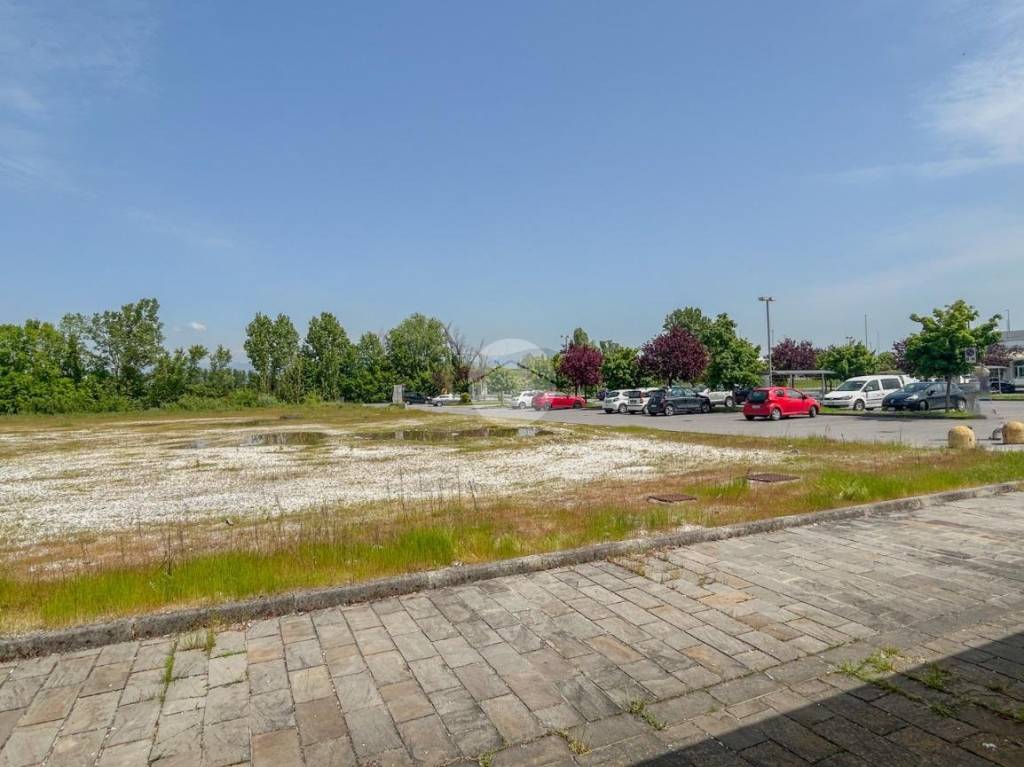 immagine annuncio 6 di 14