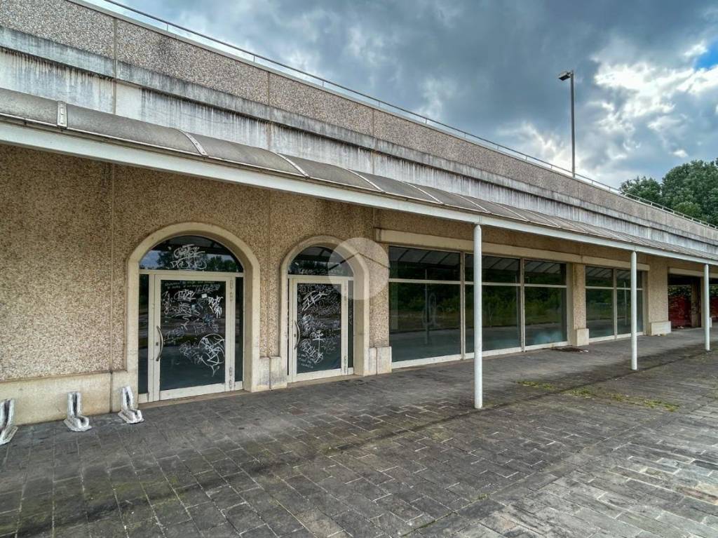 immagine annuncio 7 di 14