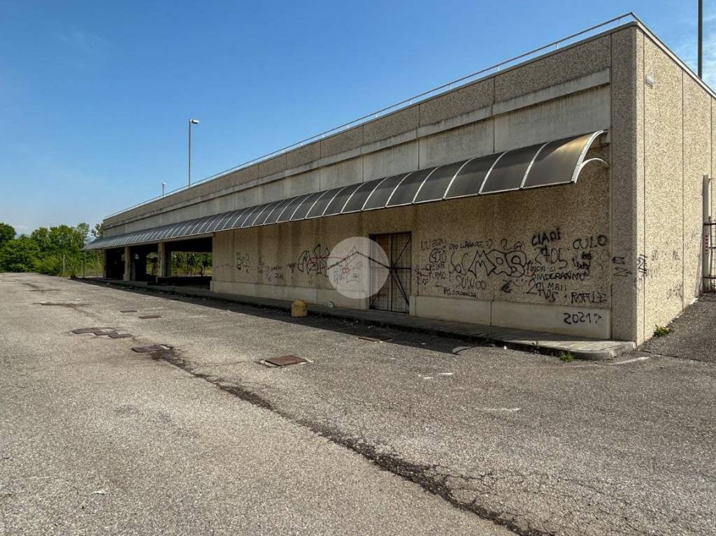 immagine annuncio 13 di 14