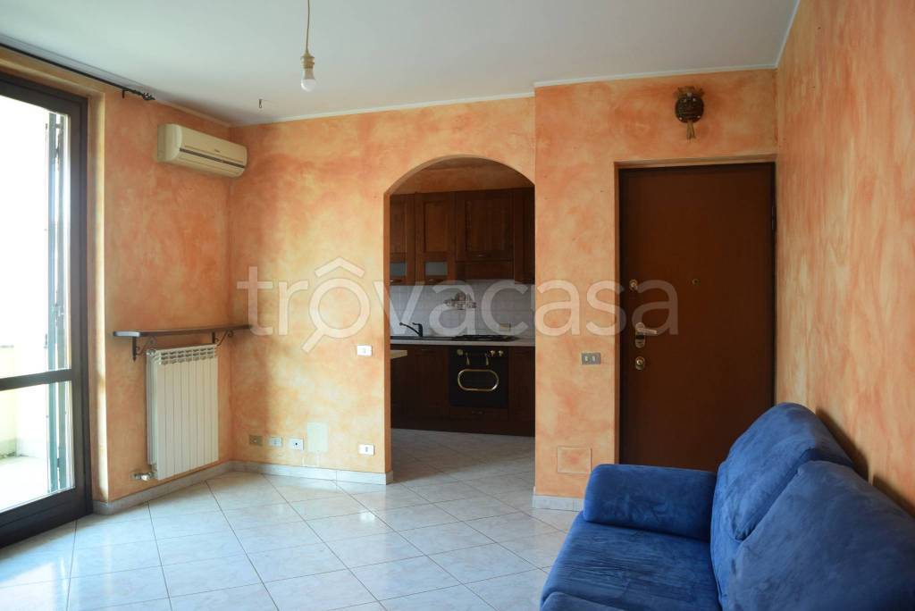 immagine annuncio 3 di 11