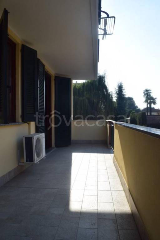 immagine annuncio 5 di 11