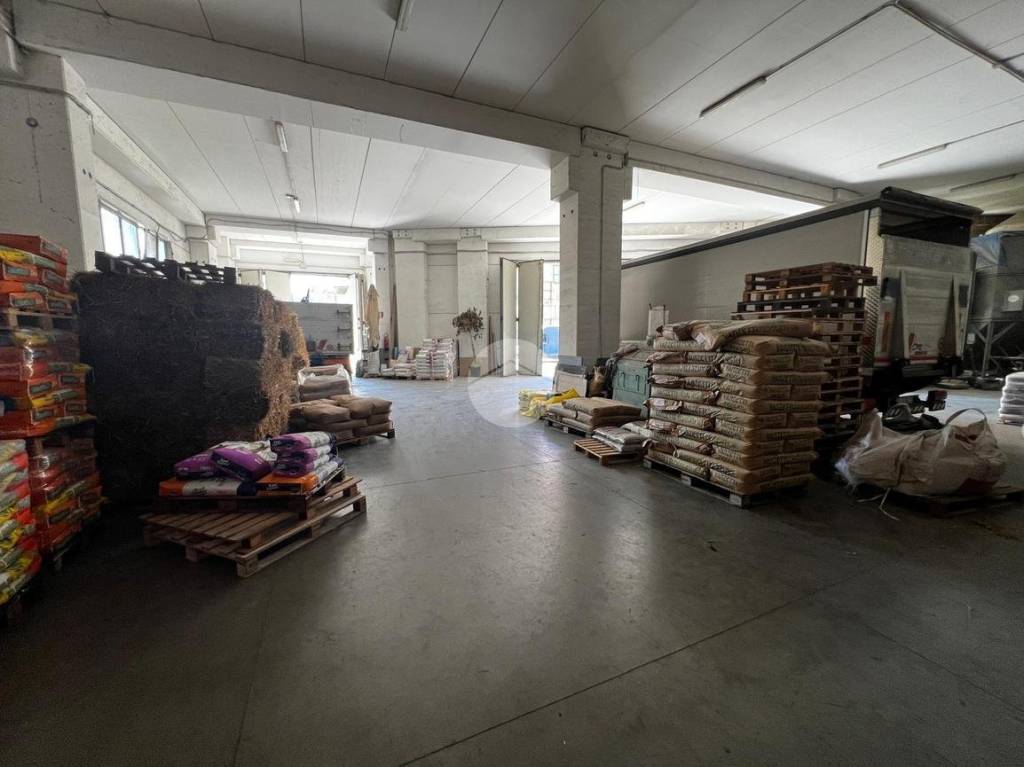 immagine annuncio 8 di 15