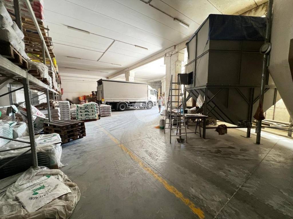 immagine annuncio 14 di 15