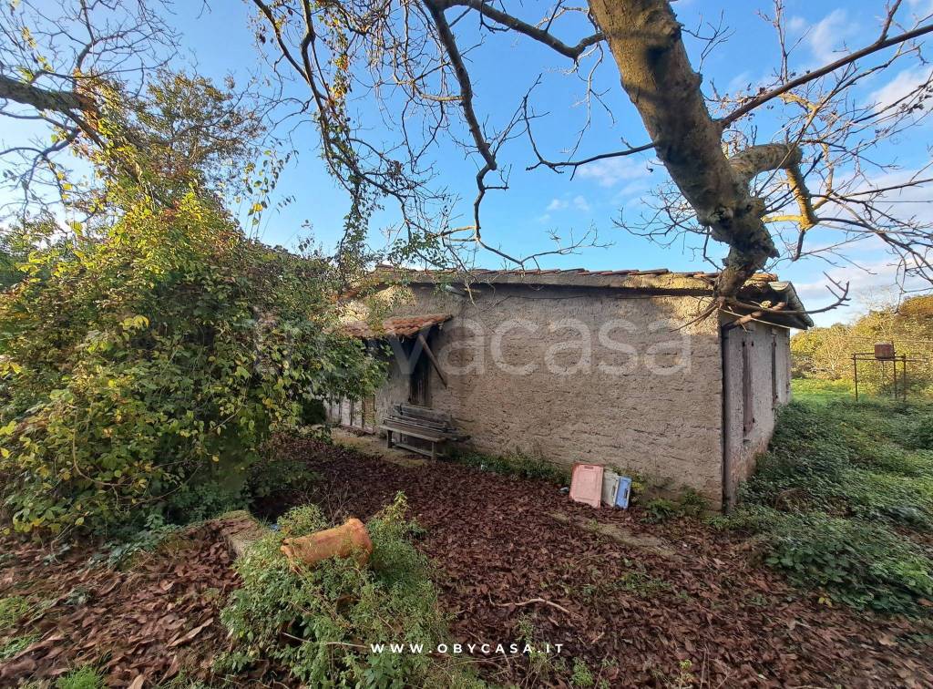 immagine annuncio 2 di 12