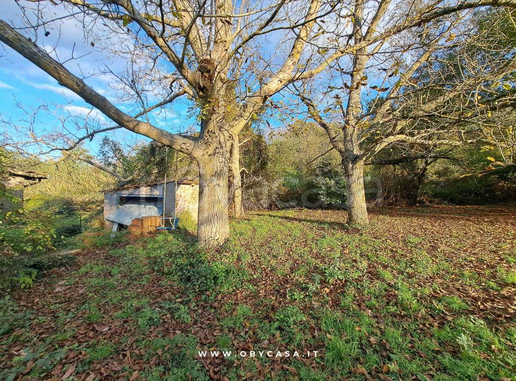 immagine annuncio 4 di 12