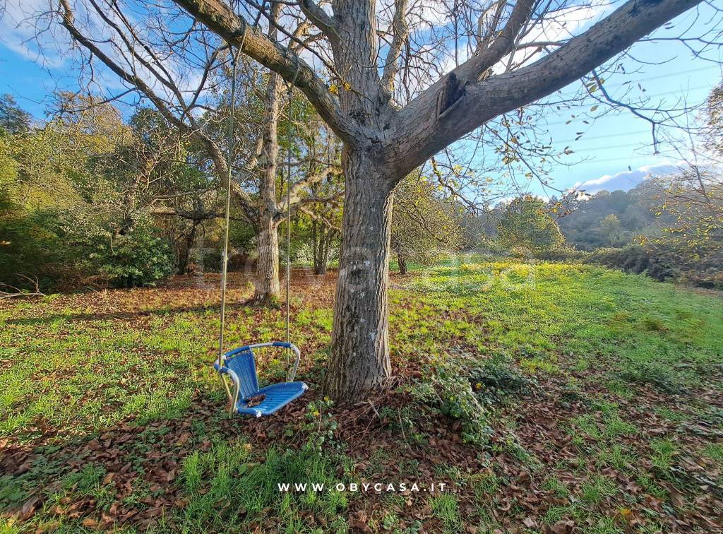 immagine annuncio 5 di 12