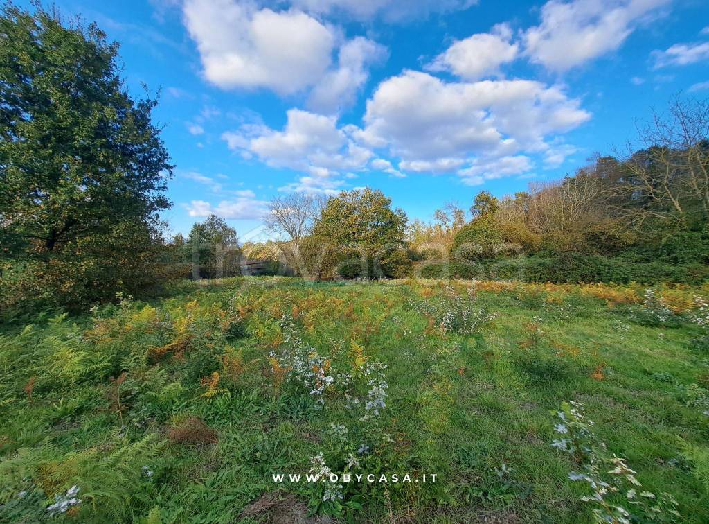 immagine annuncio 6 di 12