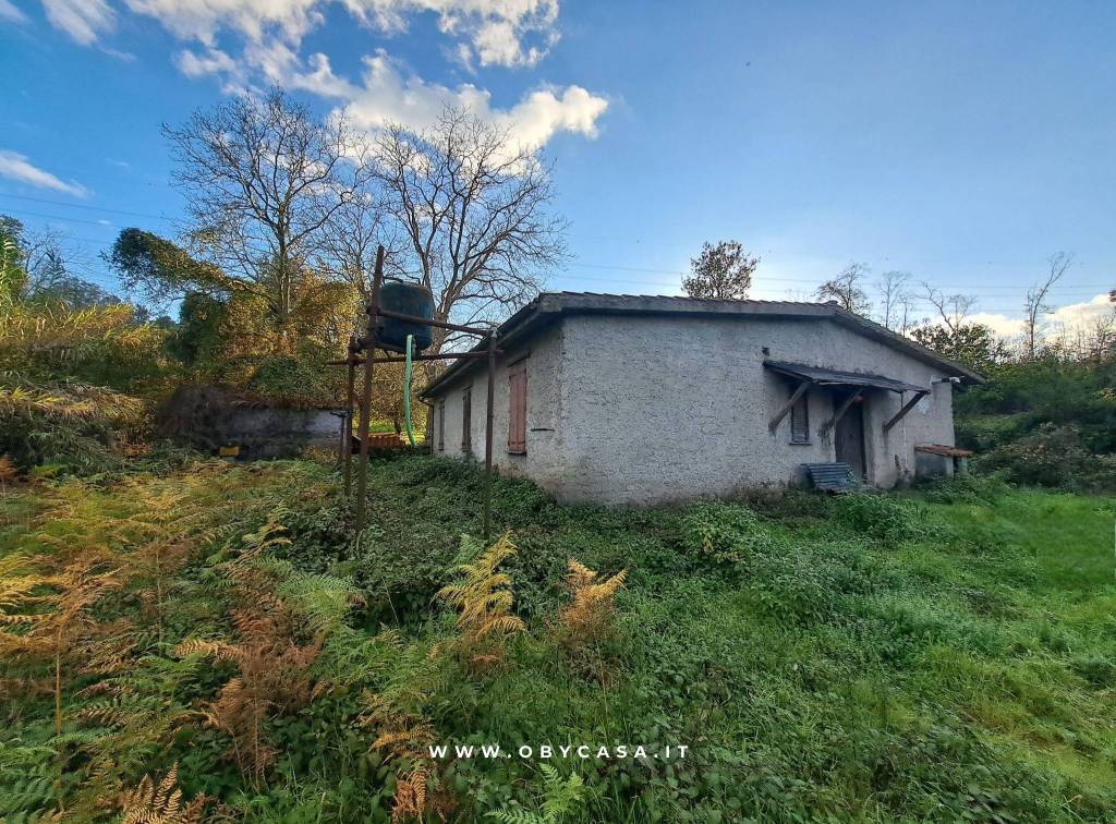 immagine annuncio 7 di 12