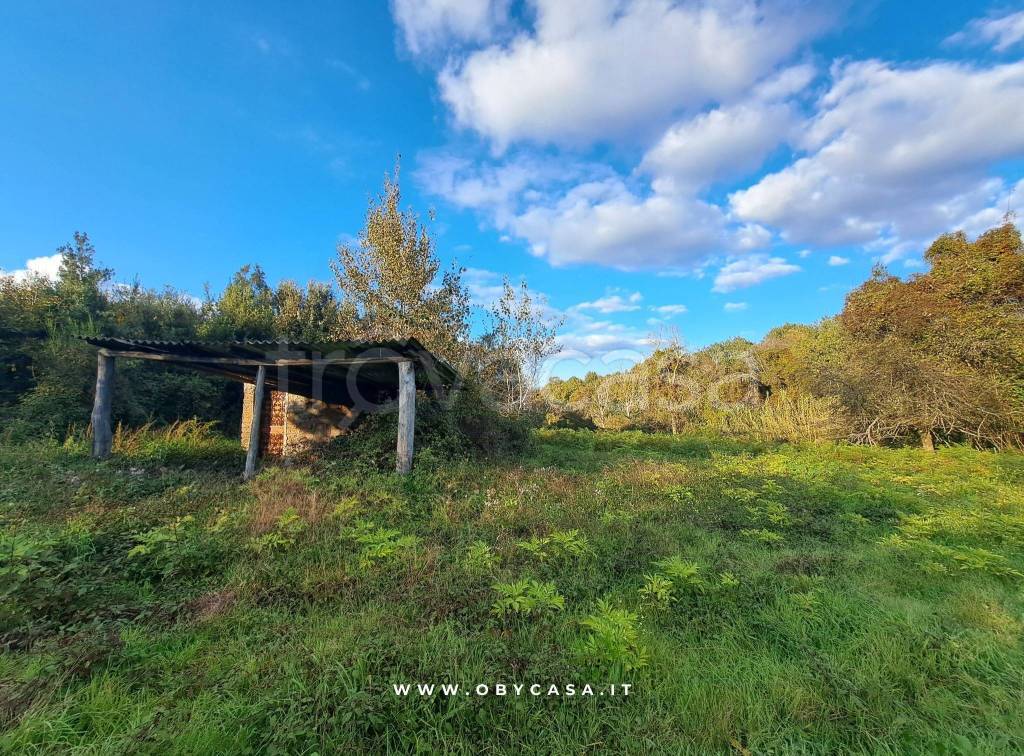 immagine annuncio 8 di 12