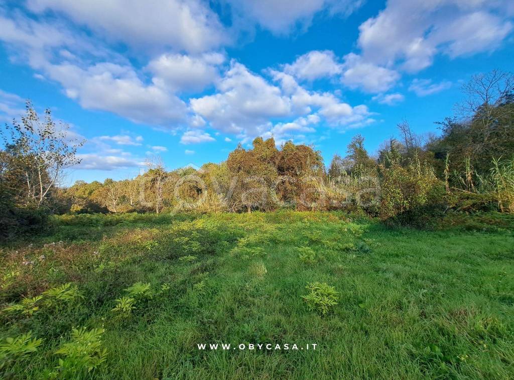 immagine annuncio 9 di 12