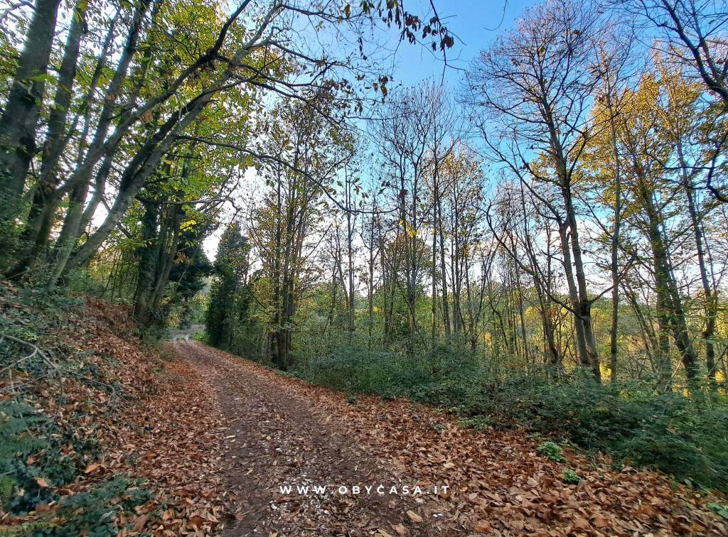 immagine annuncio 10 di 12