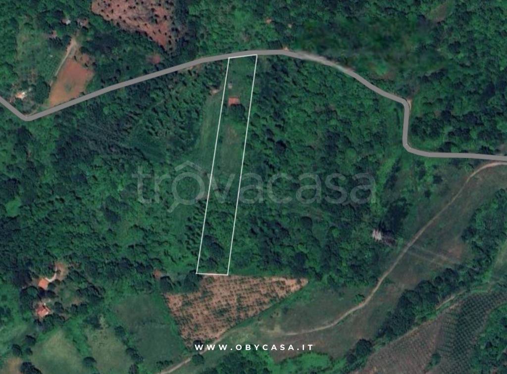 immagine annuncio 11 di 12