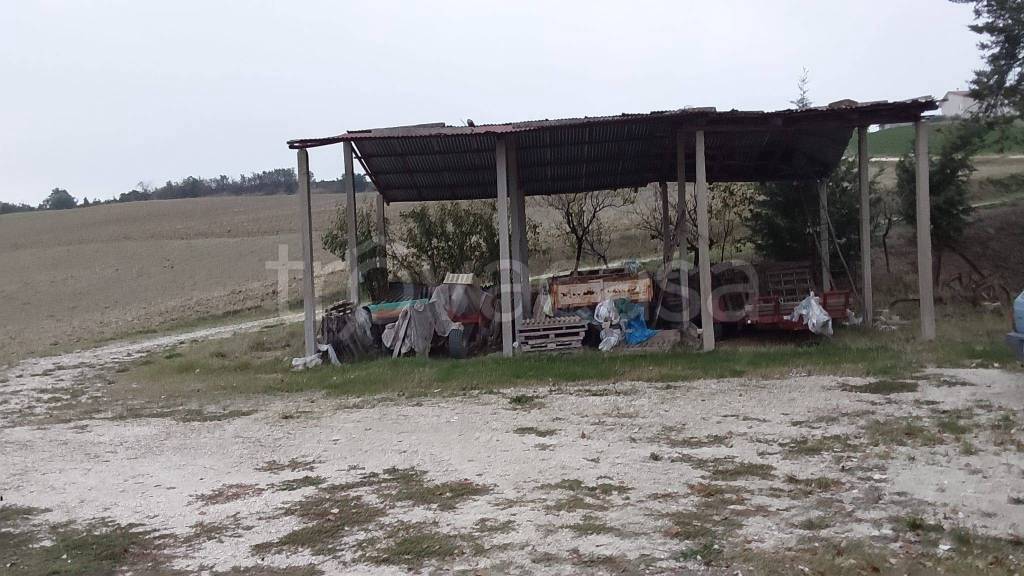 immagine annuncio 3 di 9