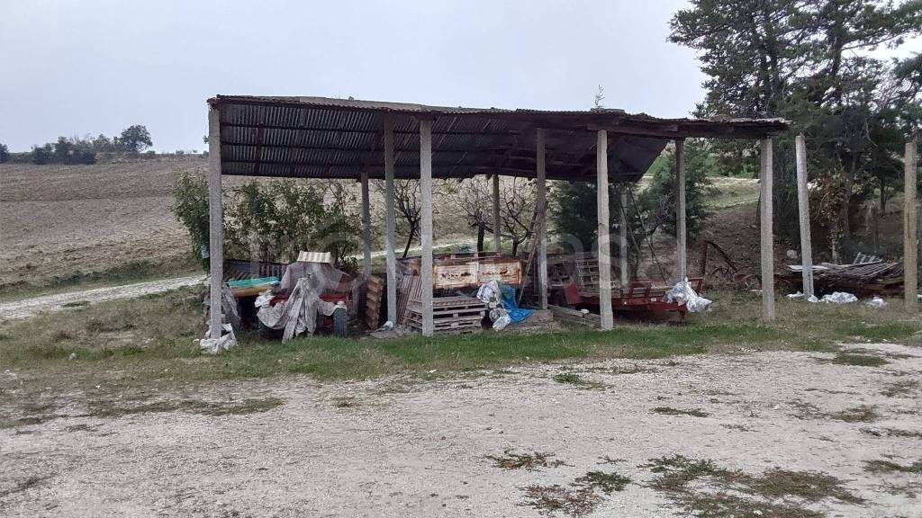 immagine annuncio 4 di 9