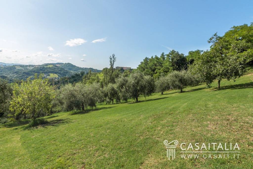 immagine annuncio 14 di 15