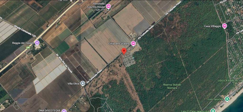 immagine annuncio 2 di 10