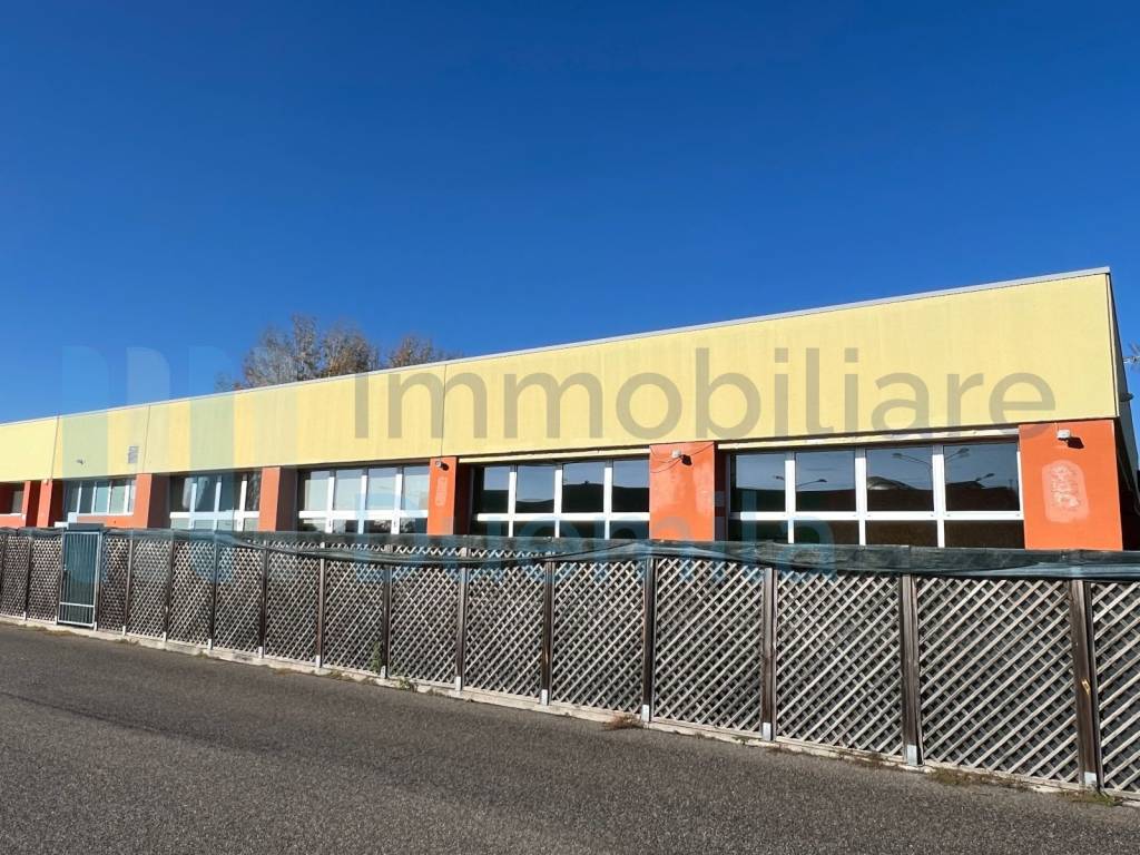 immagine annuncio 4 di 15